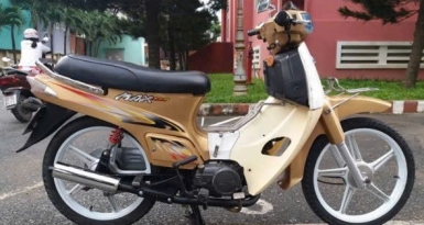 Max Nhật huyền thoại